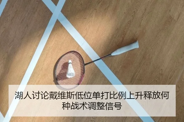 湖人讨论戴维斯低位单打比例上升释放何种战术调整信号