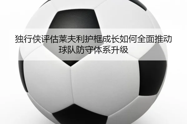 独行侠评估莱夫利护框成长如何全面推动球队防守体系升级